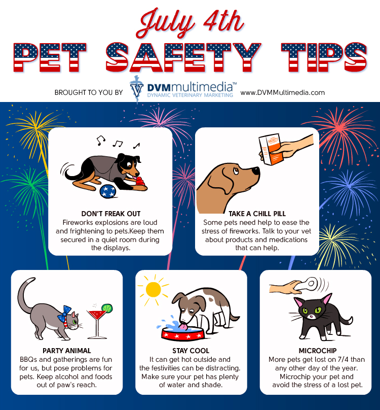 4th of July Pet Safety - - Harrisburg Veterinarian | Harrisburg Veterinary  Clinic