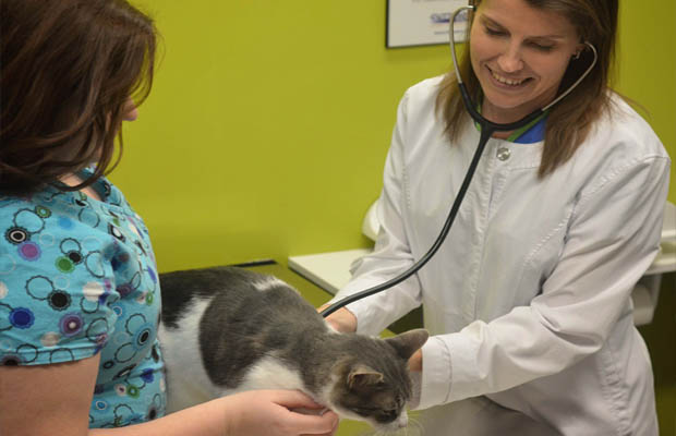 Veterinarian in Harrisburg, AR | Harrisburg Veterinary Clinic