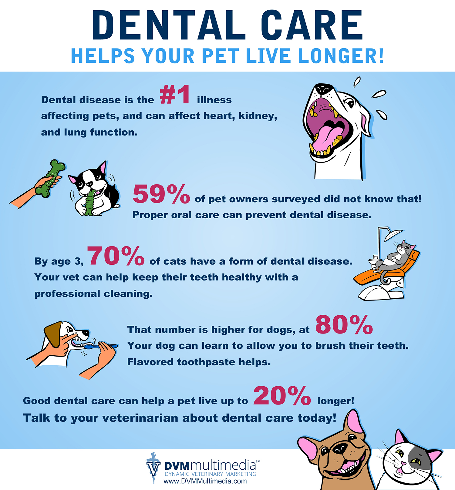 Pets Need Dental Care!